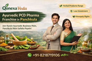 Read more about the article Ayurvedic PCD Pharma Franchise in Panchkula | Qonexa Veda