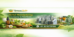 Read more about the article 🌿 Herbal Manufacturing Company in Panchkula – Complete Guide for 2026