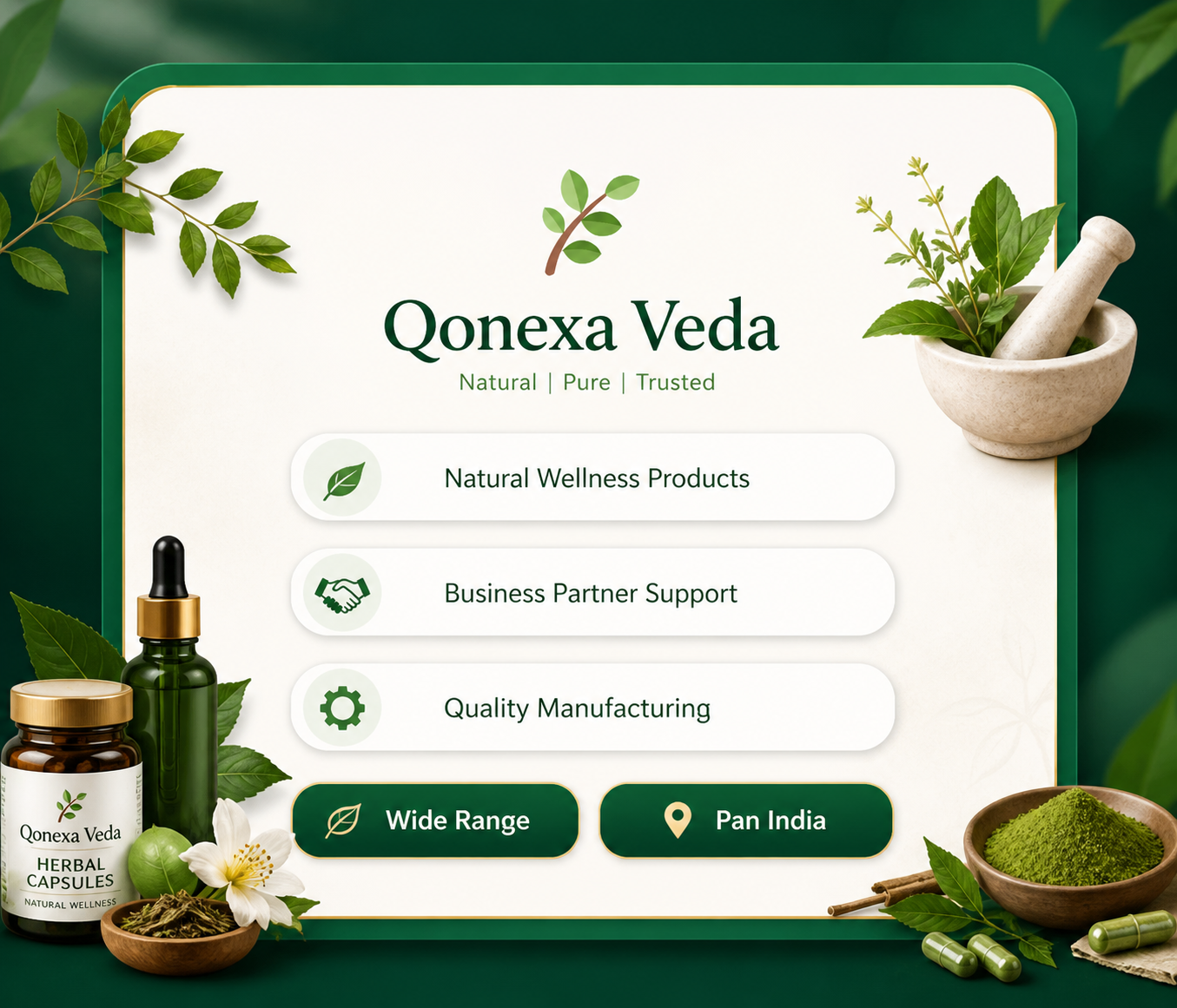 Qonexa Veda Ayurvedic wellness products and franchise banner