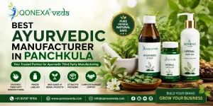 Read more about the article Best Ayurvedic Manufacturer in Panchkula