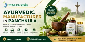 Read more about the article Ayurvedic Manufacturer in Panchkula | Qonexa Veda